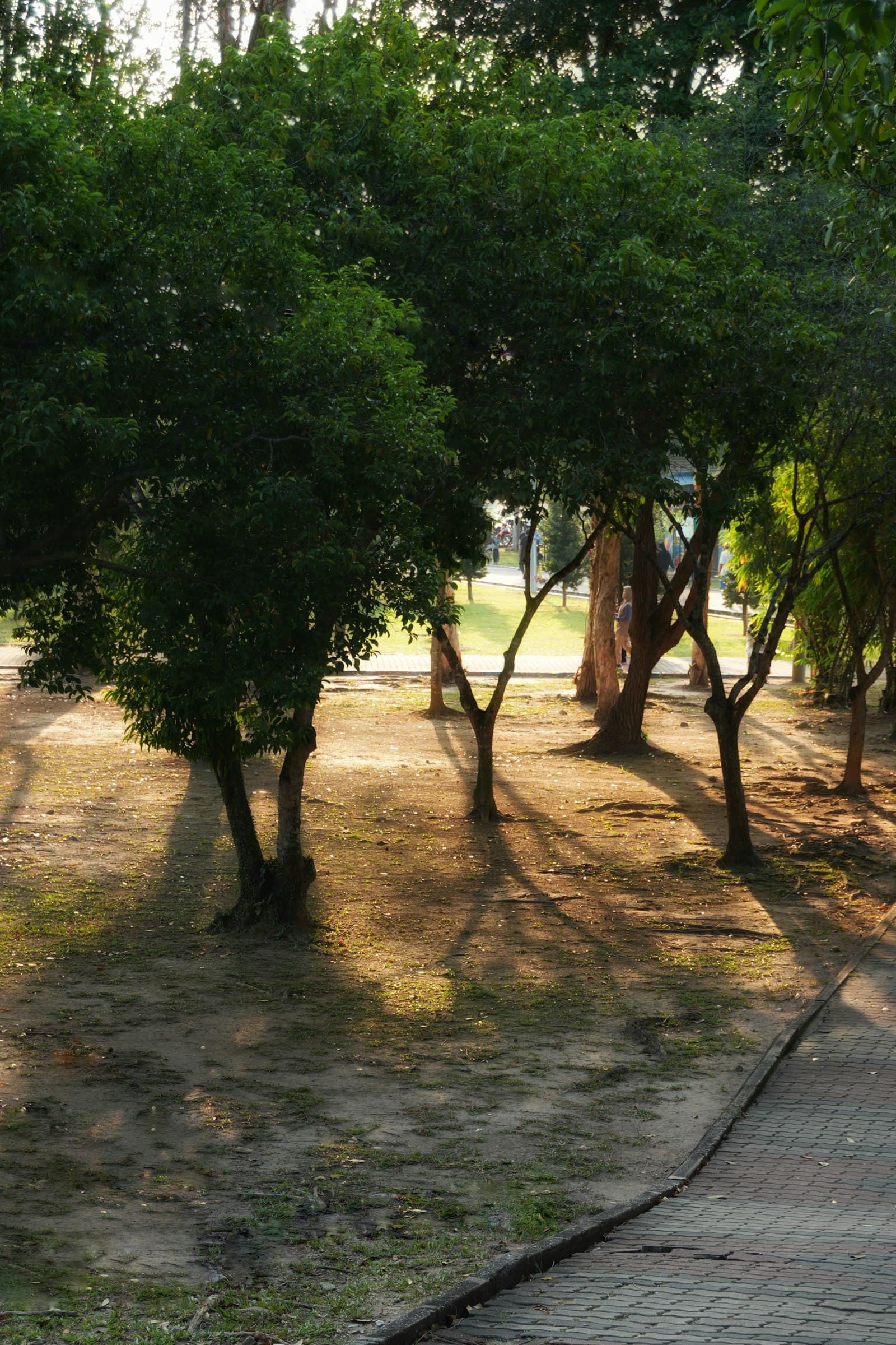 Family support background